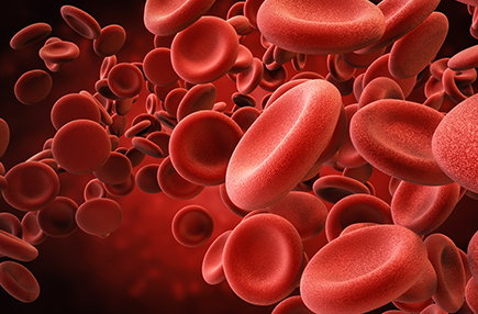 혈액학팀 이미지