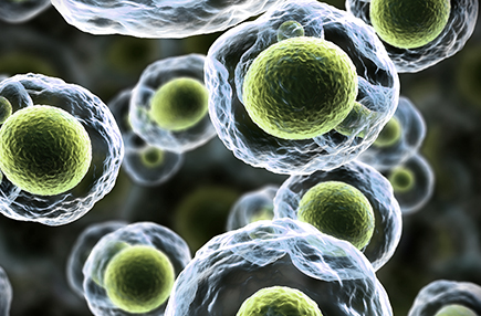 미생물팀 이미지