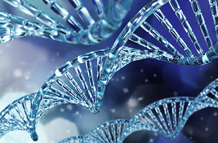 분자진단팀 이미지