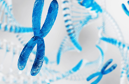 세포유전팀 이미지